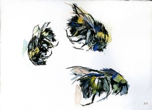 Études sur les abeilles, 2024 (encre sur papier)