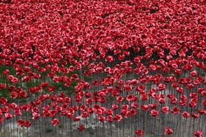 Blood Swept Lands and Seas of Red, Tour de Londres, 2014