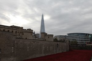 Blood Swept Lands and Seas of Red, Tour de Londres, 2014