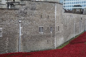 Terres et mers de sang balayées par le vent, Tour de Londres, 2014