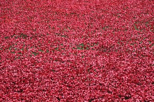 Terres ensanglantées et mers de rouge, Tour de Londres, 2014