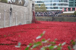 Terres et mers de sang balayées, Tour de Londres, 2014