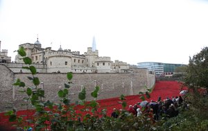 Terres et mers de sang balayées par le vent, Tour de Londres, 2014