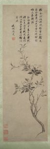 Pommier en fleurs