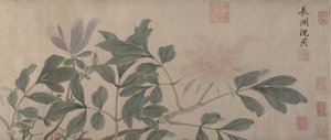 Fleurs des quatre saisons