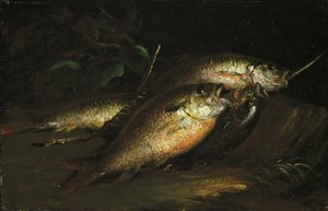 Poisson
