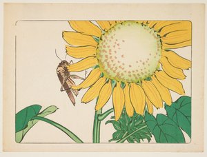  - Shibata Zeshin