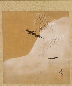 Oiseaux dans la neige