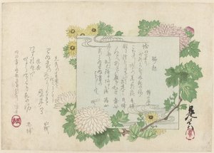 Chrysanthèmes