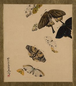 Peintures laquées de divers sujets : Papillons, daté 1881