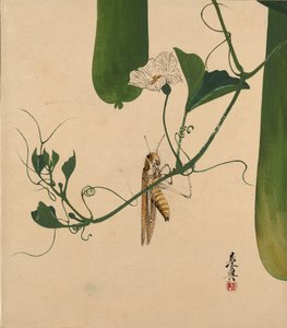 Peintures laquées de divers sujets : Sauterelle sur une vigne de gourde, 1882