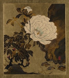 Peintures laquées de divers sujets : Pivoines