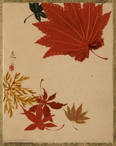 Feuilles d