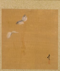 Papillons de nuit - Shibata Zeshin