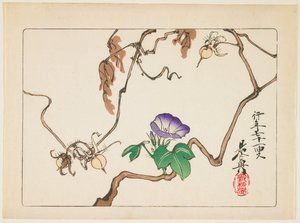  - Shibata Zeshin