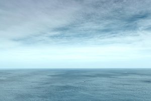 Horizon océanique serein - Shijimi
