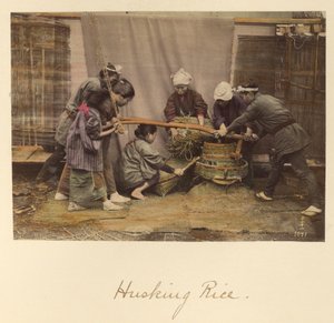 Décortiquer le riz