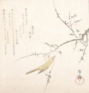 Nouvelle Lune, rossignol sur une branche de prunier, 19e siècle