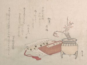 Prunier en pot en fleurs et livres - Shinsai