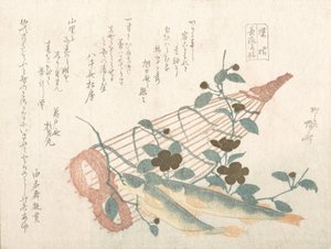 Douces poissons de la rivière Nagara, avec paniers et fleurs