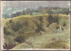 Paysage avec buissons, Italie, c1950 - Shirley Markham