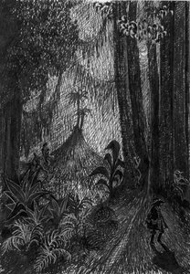 Pirate dans la Forêt Tropicale