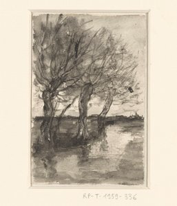 Arbres le long d