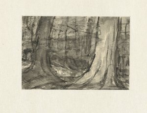 Vue entre les arbres