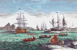 Flotte baleinière au large du Groenland au 18e siècle - Sieuwert van der Meulen