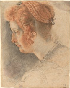 Tête de femme de profil