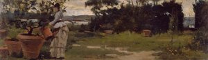 Jardin à Bellariva, vers 1884