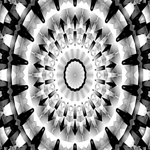 Symphonie en noir et blanc - Silvia Martini