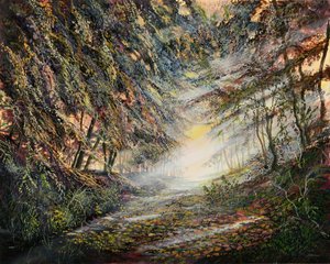 Barrières de Lumière