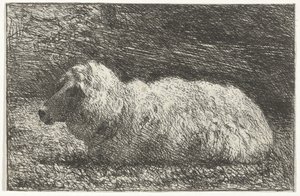 Mouton couché - Simon Andreas Krausz