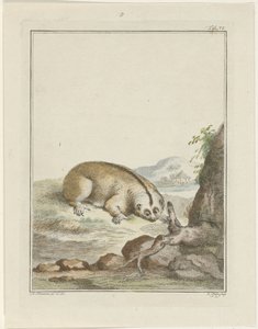 Paresseux - Simon Fokke