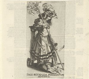 Sac Reinalda