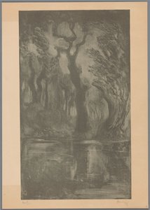 Eau dans la forêt