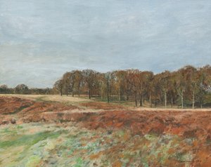 Richmond Park, 2019 (huile sur toile) - Simon Neville