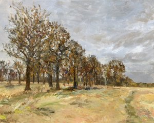 Forêt, Richmond Park no 6, 2022