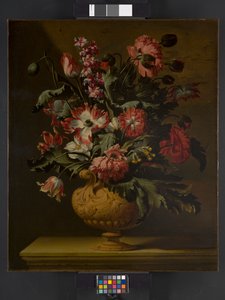 Un vase de fleurs, avant 1710 - Simon Peeterz Verelst