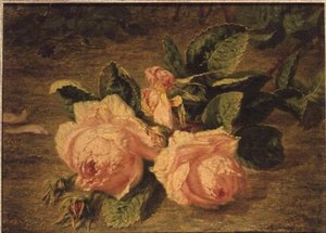 Roses roses