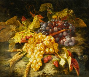 Raisins, blé barbu et fraises sur un rebord rocheux, 1849