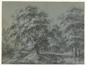 Paysage forestier avec de l