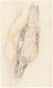 Un gland - Sir David Wilkie