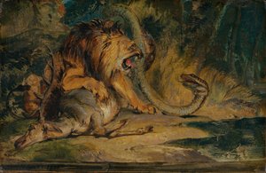 Lion défendant sa proie