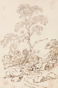 Arbre près des marches - Sir George Howland Beaumont seventh Baronet