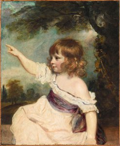 Portrait de Francis George Hare 1786-1842 connu sous le nom de Master Hare, 1788-1789 - Sir Joshua Reynolds
