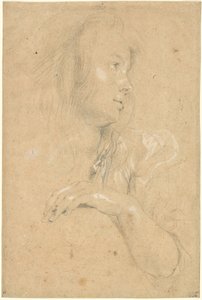 Jeune femme de profil - Sir Peter Paul Rubens