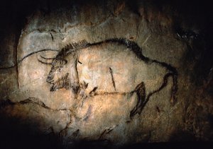 Bison dans le Salon Noir de la grotte de Niaux - Sisse Brimberg
