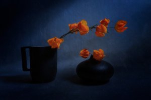 Nature morte aux lanternes d